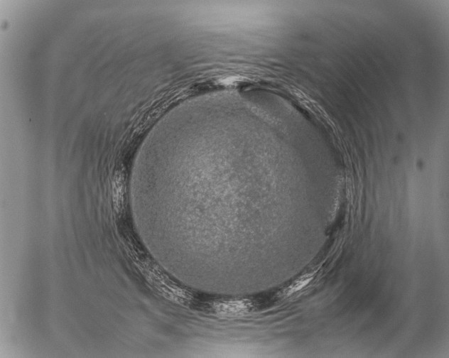 X0000057100513200509161658