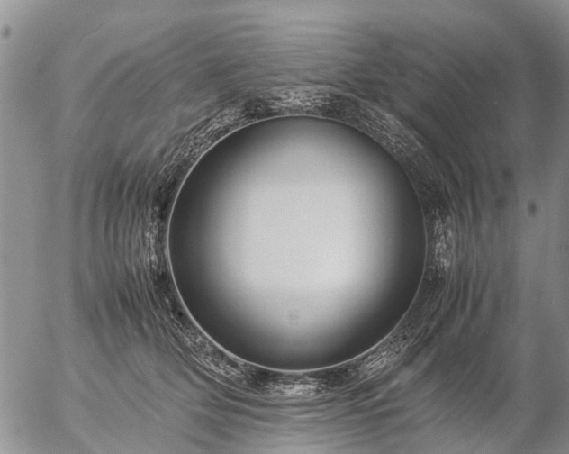 X0000057100514200509161658