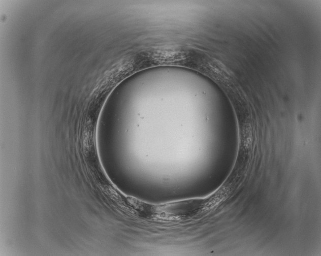 X0000057100515200509161658