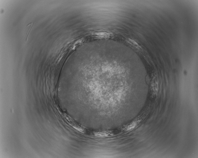 X0000057100516200509161658