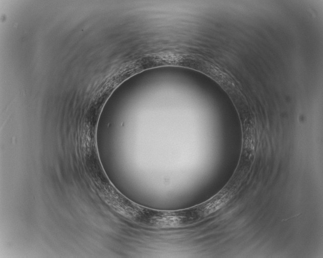 X0000057100518200509161658