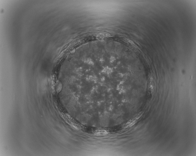 X0000057100519200509161658