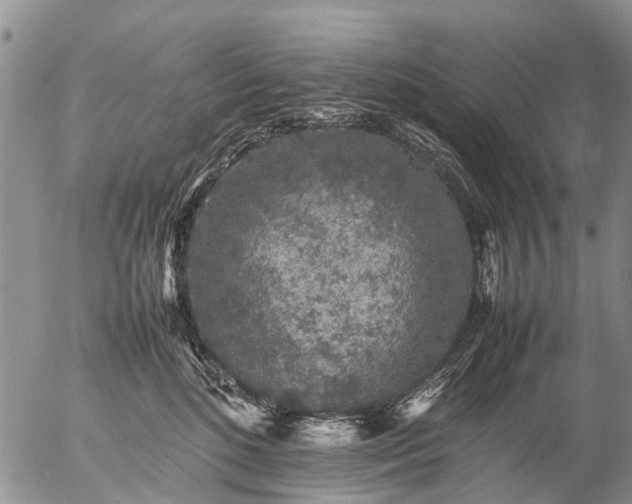 X0000057100520200509161658