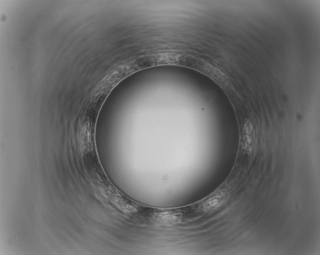 X0000057100522200509161658