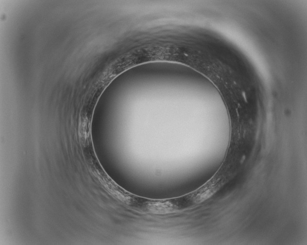 X0000057100525200509161658