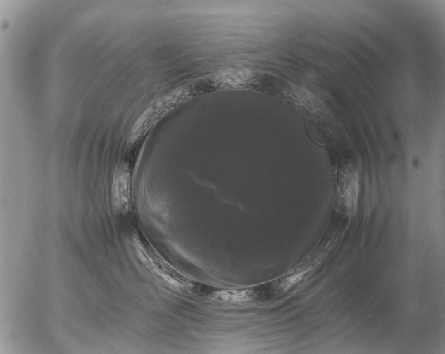 X0000057100526200509161658