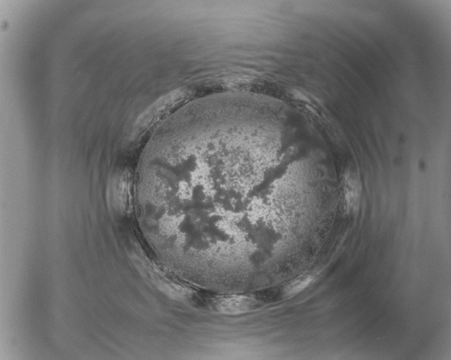 X0000057100527200509161658