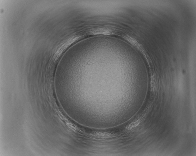 X0000057100529200509161657