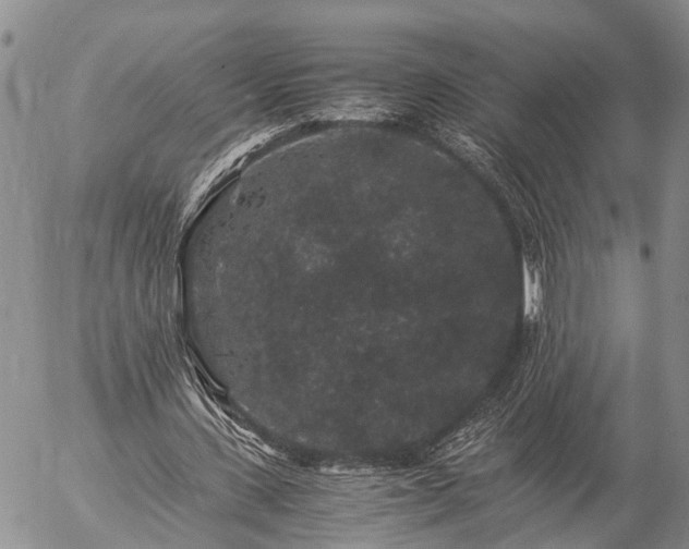 X0000057100531200509161657