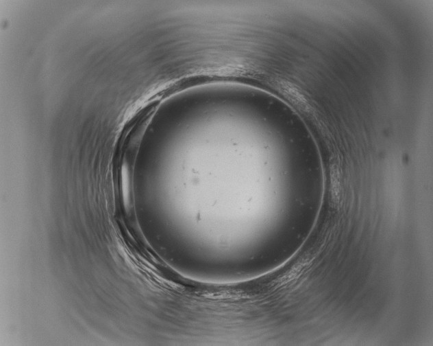 X0000057100532200509161657