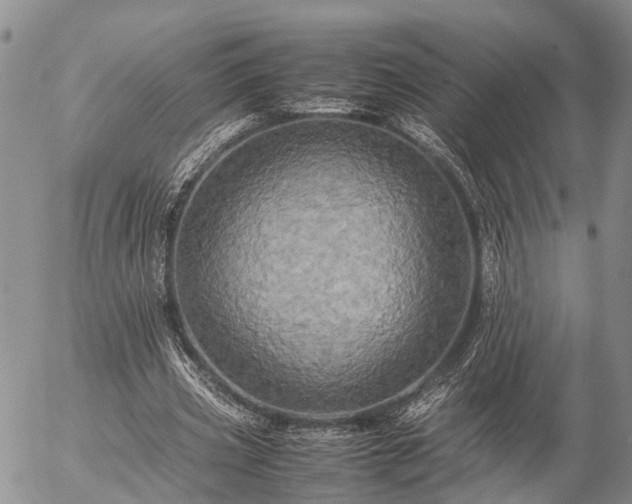 X0000057100533200509161657