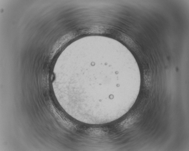 X0000057100534200509161657