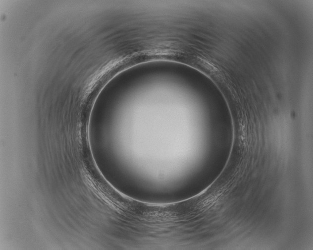 X0000057100535200509161657