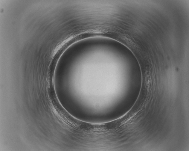 X0000057100536200509161657