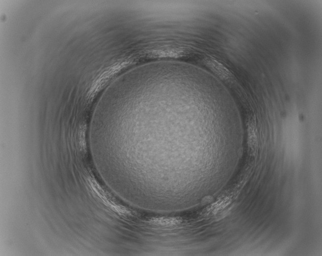 X0000057100537200509161657