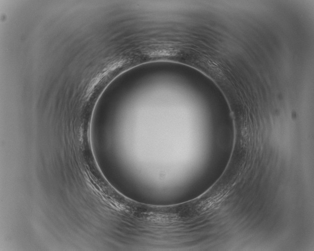 X0000057100539200509161657