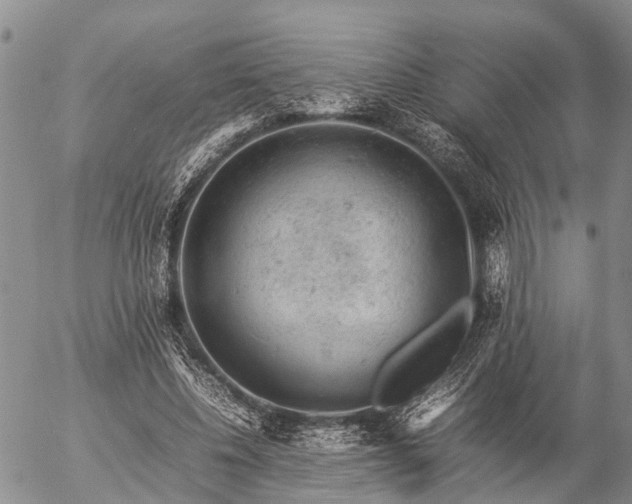 X0000057100540200509161657