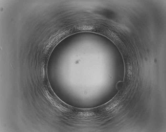 X0000057100541200509161657