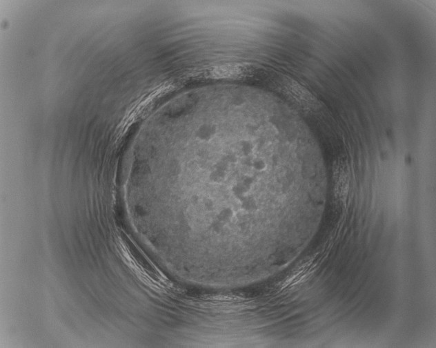 X0000057100542200509161657