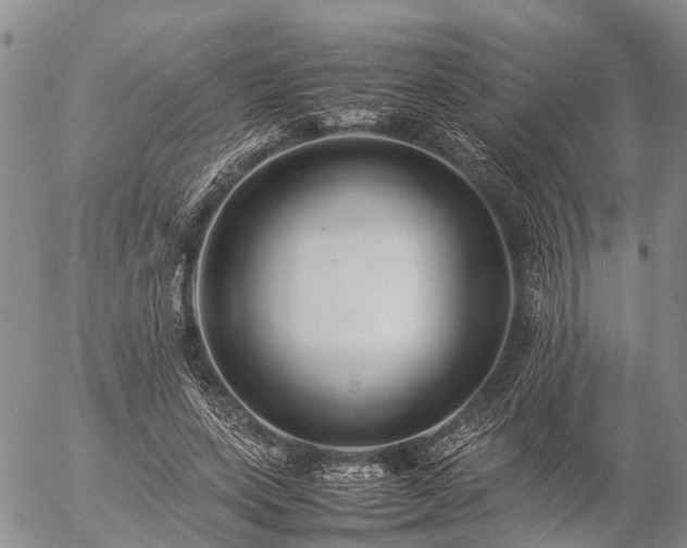 X0000057100543200509161657