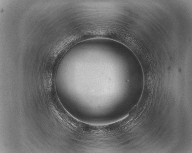 X0000057100544200509161657