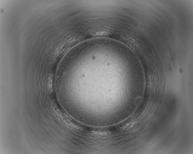 X0000057100545200509161657