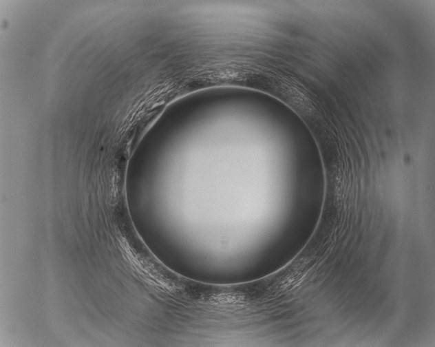 X0000057100546200509161657