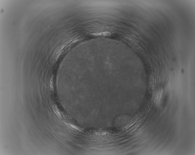 X0000057100547200509161657