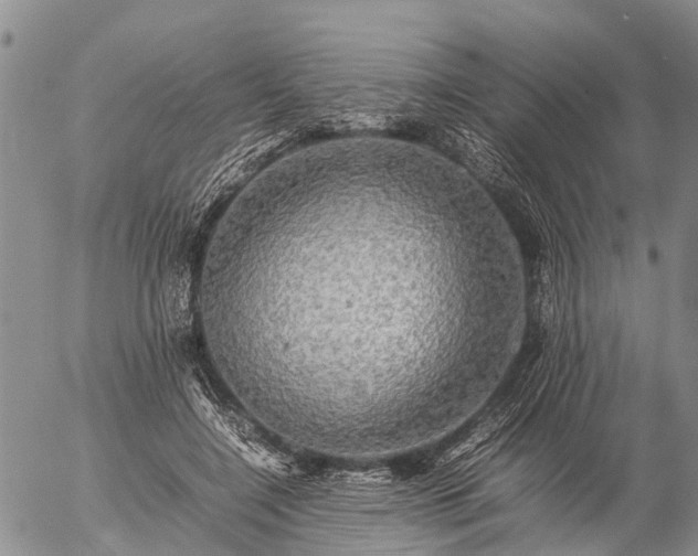 X0000057100548200509161657