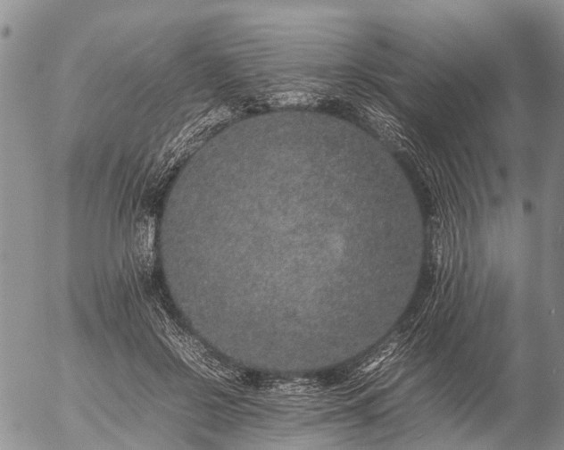 X0000057100550200509161657