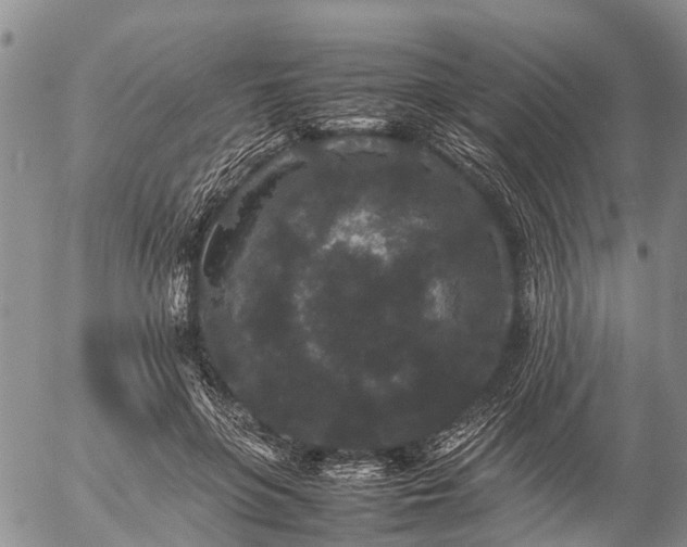 X0000057100551200509161657