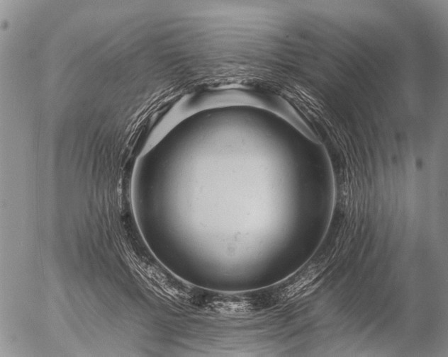 X0000057100552200509161657