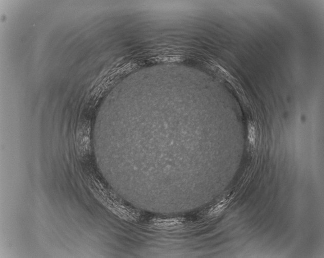 X0000057100553200509161657