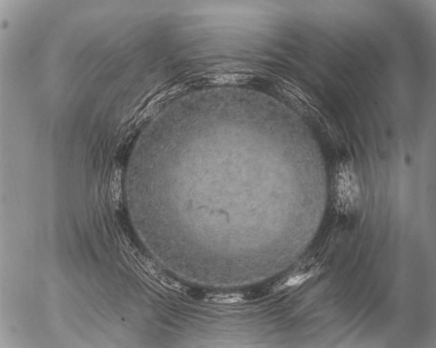 X0000057100554200509161657