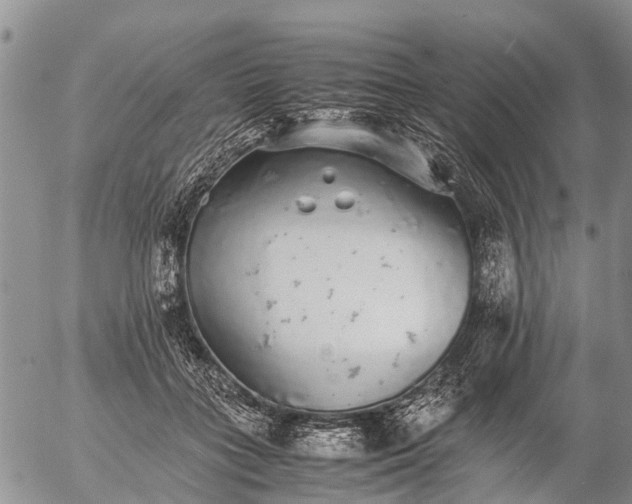 X0000057100555200509161657