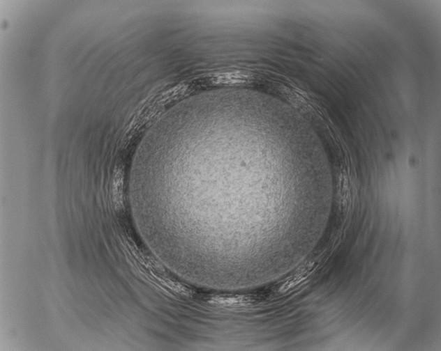 X0000057100557200509161657