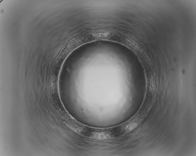 X0000057100561200509161657