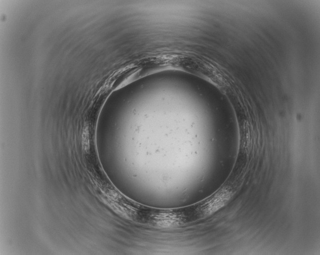 X0000057100562200509161657