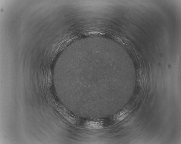 X0000057100563200509161657