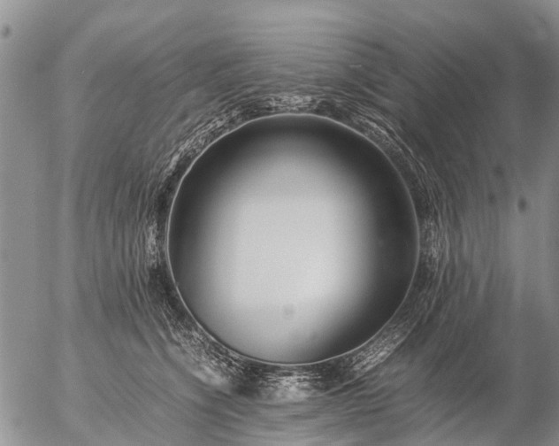 X0000057100564200509161657