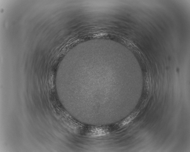 X0000057100565200509161657