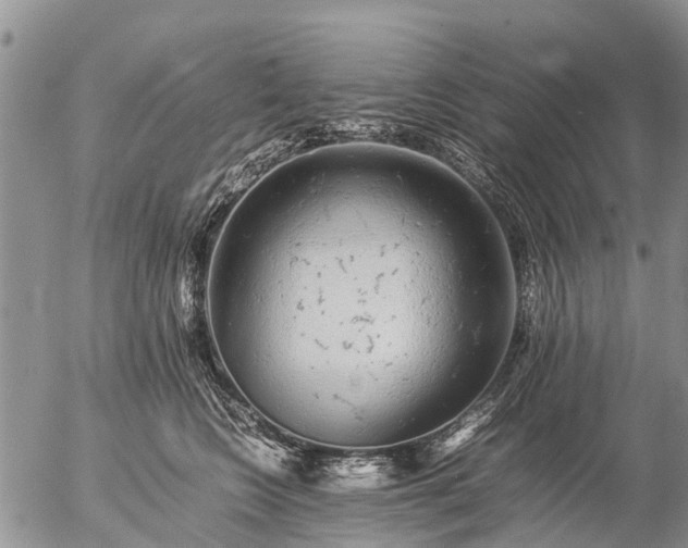 X0000057100566200509161657