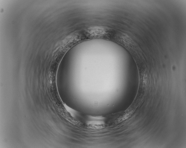 X0000057100567200509161657