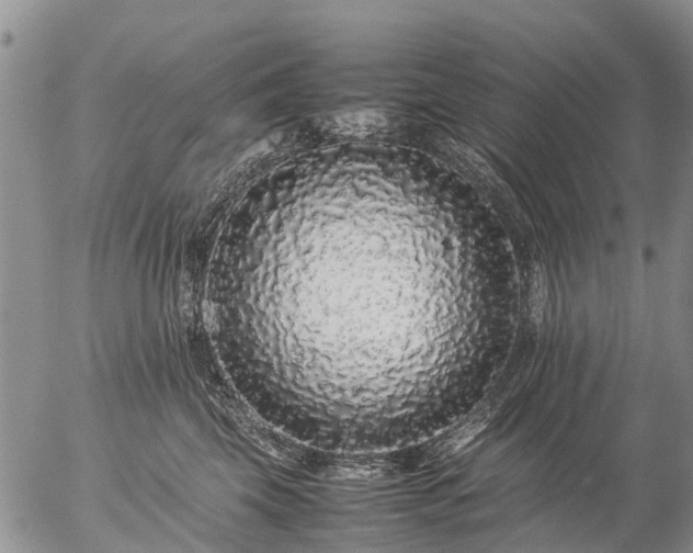 X0000057100569200509161657