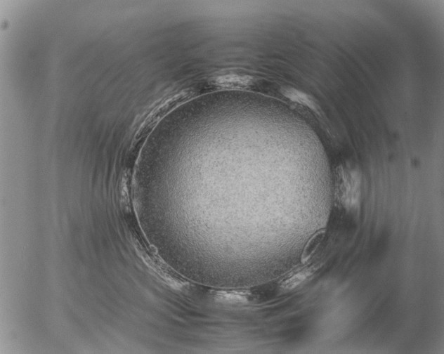 X0000057100573200509161658