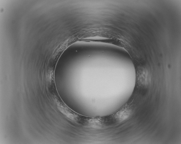 X0000057100574200509161658