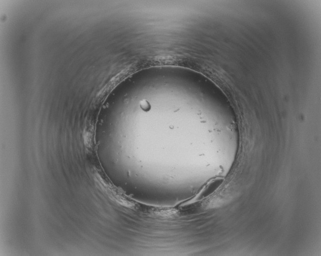 X0000057100576200509161658