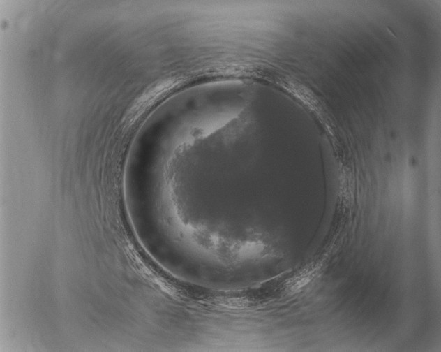 X0000057100577200509161657