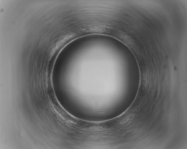 X0000057100578200509161657