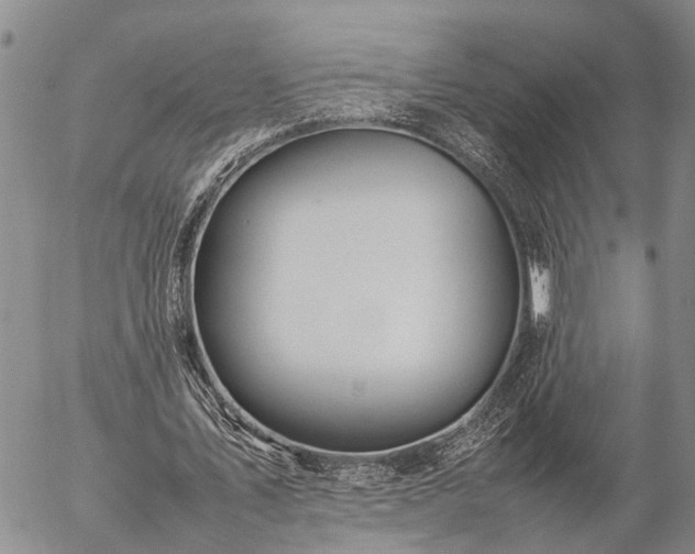 X0000057100579200509161657